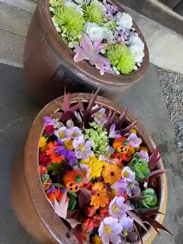 多賀神社の手水