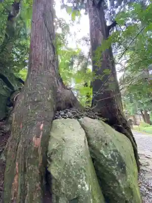大神山神社奥宮(鳥取県)