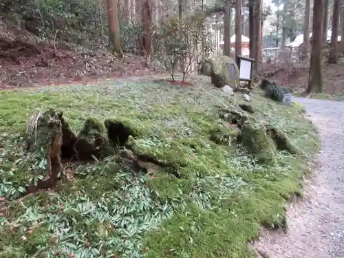 御岩神社の自然