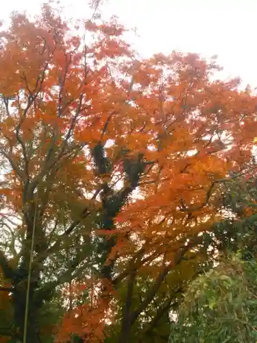永福寺跡（永福寺址）の自然