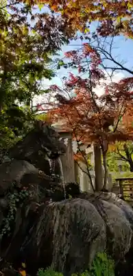 松戸神社の手水舎