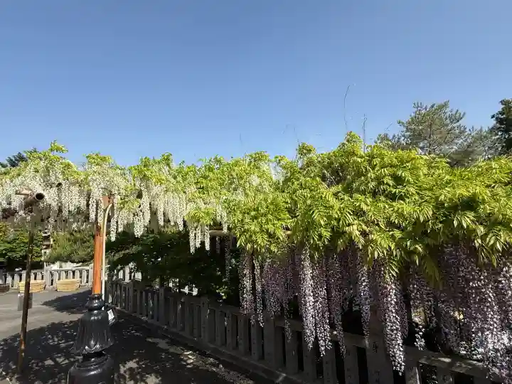 観音山慈眼院(高崎観音)(群馬県)