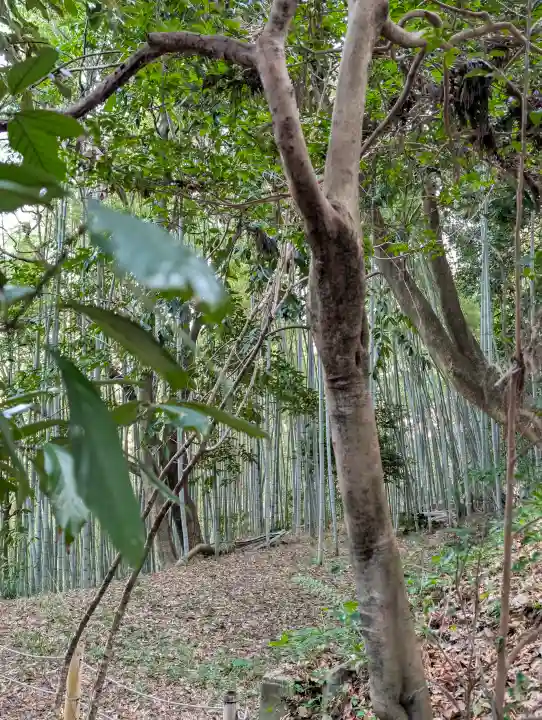 石清水八幡宮の{uncategorized: "未分類", other: "その他", undefined: "問題あり", building: "その他建物", grave: "お墓", sacred_gate: "鳥居", guardian: "狛犬", statue: "像", buddha: "仏像", history: "歴史", nature: "自然", garden: "庭園", animal: "動物", pagoda: "塔", temizu: "手水舎", mountain_gate: "山門・神門", sanctuary: "本殿・本堂", subordinate: "末社・摂社", art: "芸術", scenery: "景色", jizo: "地蔵", ema: "絵馬", goshuin: "御朱印", omikuji: "おみくじ", items: "授与品その他", amulet: "お守り", goshuincho: "御朱印帳", eats: "食事", festival: "お祭り", votive_dance: "神楽", shichigosan: "七五三参", wedding: "結婚式", experience: "体験その他", initially: "初詣", around: "周辺", anti_infection: "感染症対策"}