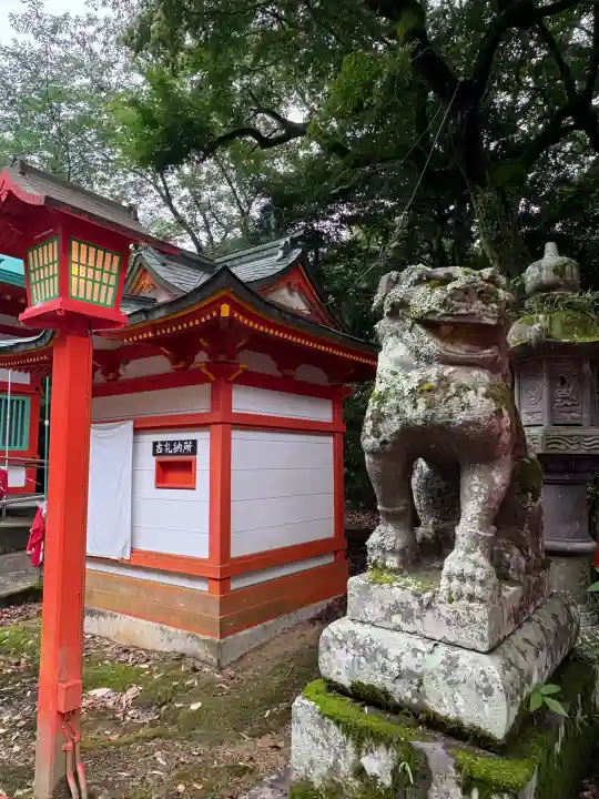 大學稲荷神社の狛犬