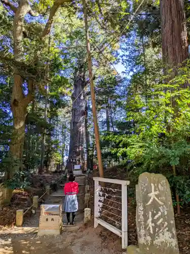 麻賀多神社の自然