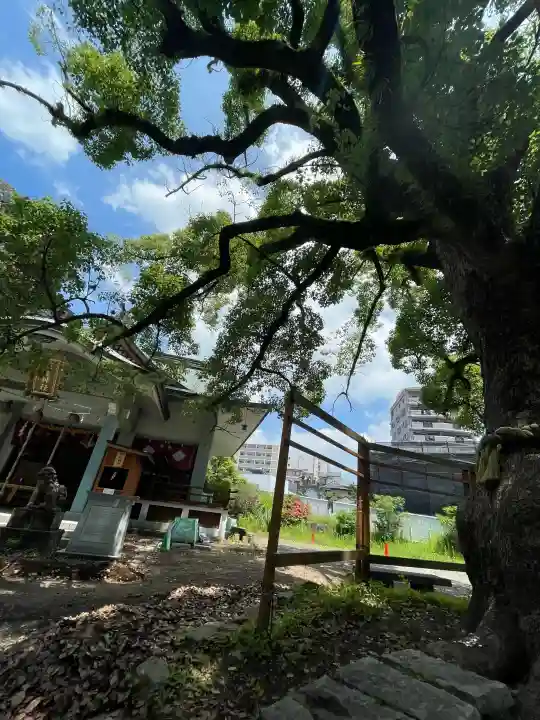 住吉神社の{uncategorized: "未分類", other: "その他", undefined: "問題あり", building: "その他建物", grave: "お墓", sacred_gate: "鳥居", guardian: "狛犬", statue: "像", buddha: "仏像", history: "歴史", nature: "自然", garden: "庭園", animal: "動物", pagoda: "塔", temizu: "手水舎", mountain_gate: "山門・神門", sanctuary: "本殿・本堂", subordinate: "末社・摂社", art: "芸術", scenery: "景色", jizo: "地蔵", ema: "絵馬", goshuin: "御朱印", omikuji: "おみくじ", items: "授与品その他", amulet: "お守り", goshuincho: "御朱印帳", eats: "食事", festival: "お祭り", votive_dance: "神楽", shichigosan: "七五三参", wedding: "結婚式", experience: "体験その他", initially: "初詣", around: "周辺", anti_infection: "感染症対策"}
