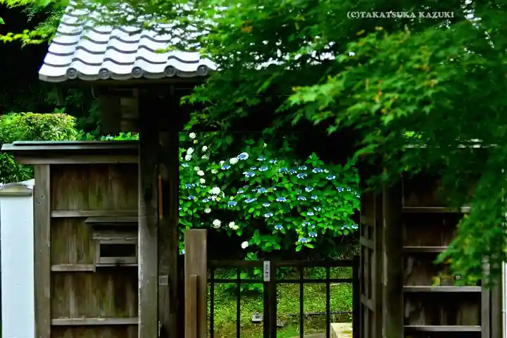 長壽寺(長寿寺)(神奈川県)
