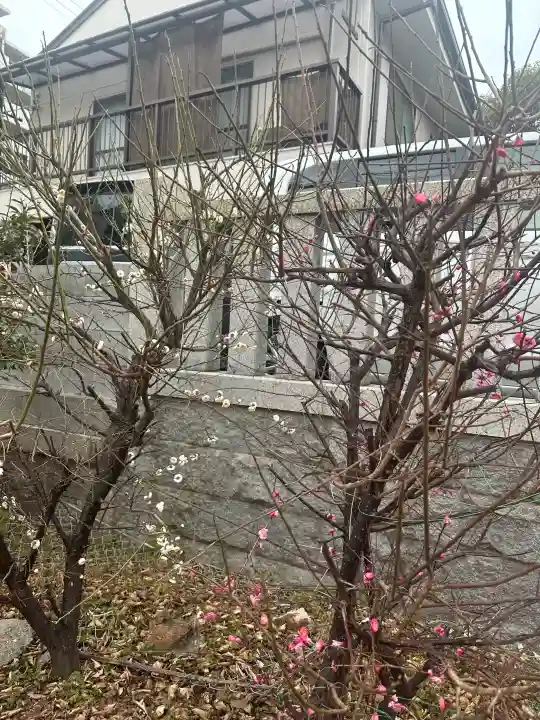 中村八幡神社の{uncategorized: "未分類", other: "その他", undefined: "問題あり", building: "その他建物", grave: "お墓", sacred_gate: "鳥居", guardian: "狛犬", statue: "像", buddha: "仏像", history: "歴史", nature: "自然", garden: "庭園", animal: "動物", pagoda: "塔", temizu: "手水舎", mountain_gate: "山門・神門", sanctuary: "本殿・本堂", subordinate: "末社・摂社", art: "芸術", scenery: "景色", jizo: "地蔵", ema: "絵馬", goshuin: "御朱印", omikuji: "おみくじ", items: "授与品その他", amulet: "お守り", goshuincho: "御朱印帳", eats: "食事", festival: "お祭り", votive_dance: "神楽", shichigosan: "七五三参", wedding: "結婚式", experience: "体験その他", initially: "初詣", around: "周辺", anti_infection: "感染症対策"}