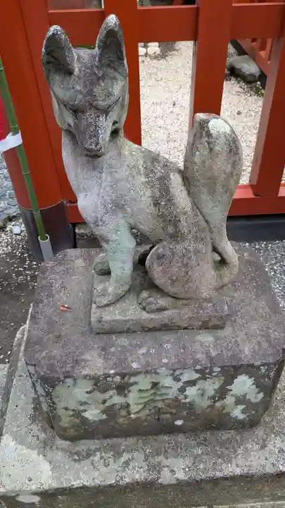 丸山稲荷社(鶴岡八幡宮)の狛犬