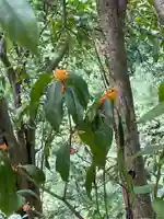 国上寺(新潟県)