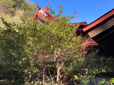 多賀神社の本殿・本堂