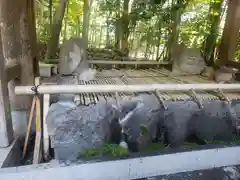 椿大神社の手水