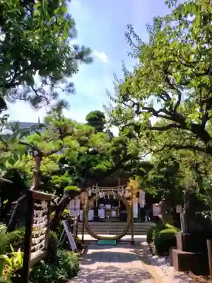 鳩森八幡神社の体験その他