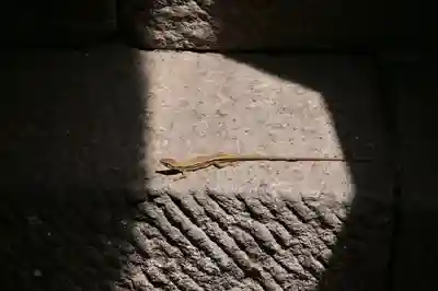 高龍神社(新潟県)