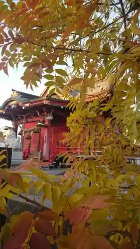 星宮神社 (山川町)のその他建物