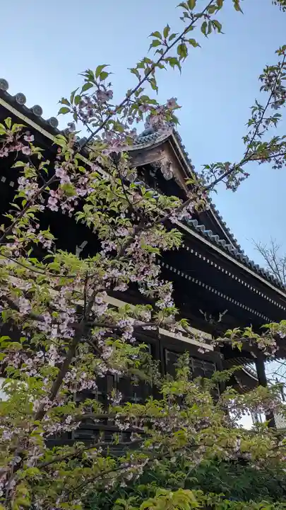 頂妙寺(京都府)