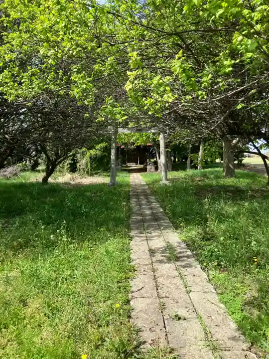 梁星宮神社の{uncategorized: "未分類", other: "その他", undefined: "問題あり", building: "その他建物", grave: "お墓", sacred_gate: "鳥居", guardian: "狛犬", statue: "像", buddha: "仏像", history: "歴史", nature: "自然", garden: "庭園", animal: "動物", pagoda: "塔", temizu: "手水舎", mountain_gate: "山門・神門", sanctuary: "本殿・本堂", subordinate: "末社・摂社", art: "芸術", scenery: "景色", jizo: "地蔵", ema: "絵馬", goshuin: "御朱印", omikuji: "おみくじ", items: "授与品その他", amulet: "お守り", goshuincho: "御朱印帳", eats: "食事", festival: "お祭り", votive_dance: "神楽", shichigosan: "七五三参", wedding: "結婚式", experience: "体験その他", initially: "初詣", around: "周辺", anti_infection: "感染症対策"}