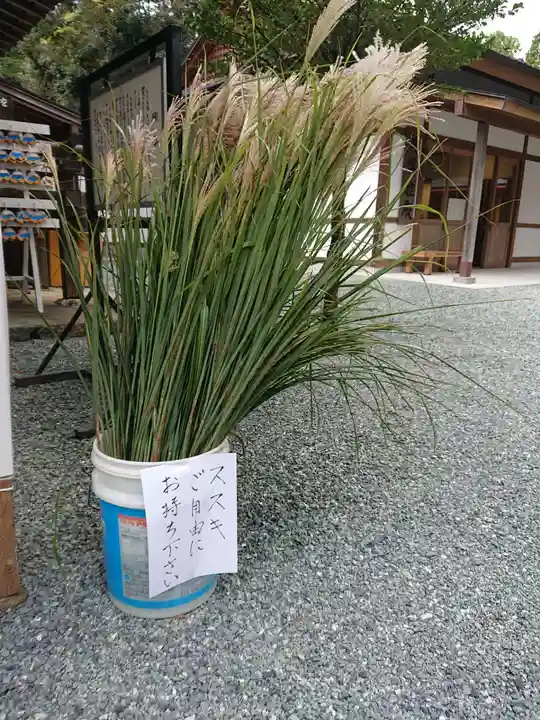 井伊谷宮のその他建物