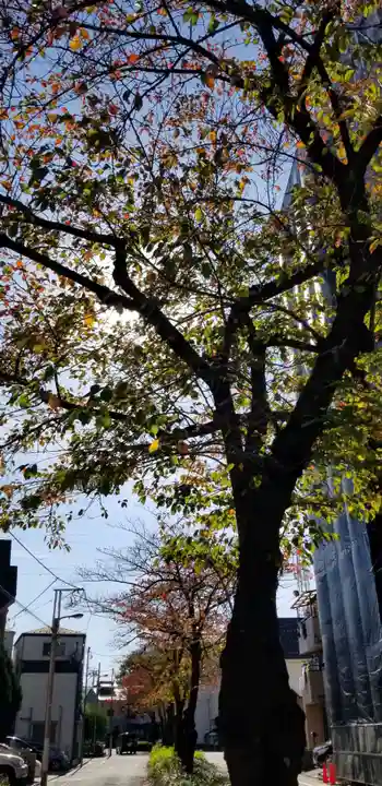 蒲原神社の自然