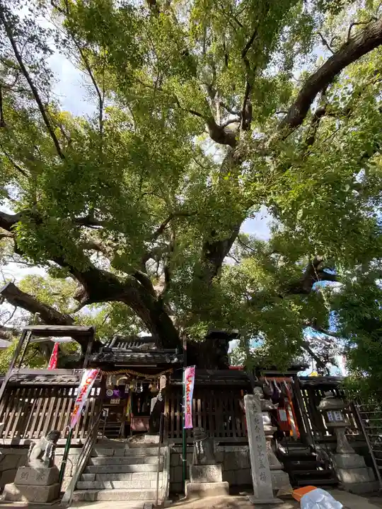 三島神社の自然
