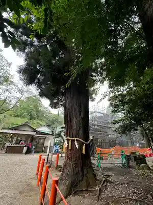 息栖神社(茨城県)
