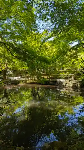 圓光寺(京都府)