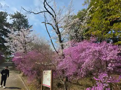 廣田神社(兵庫県)