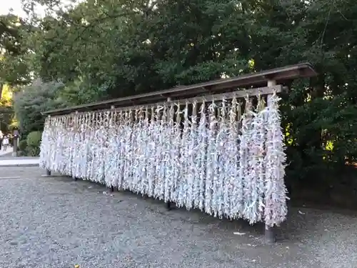 寒川神社のおみくじ