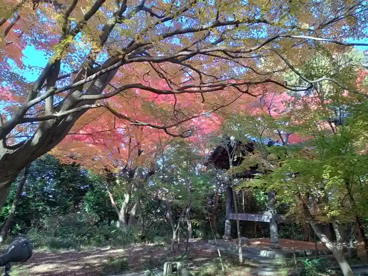 龍尾寺(大阪府)
