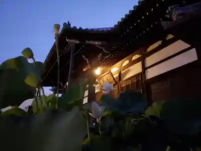 善導寺(福島県)