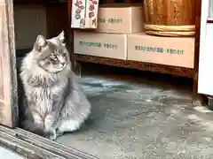 和智埜神社(長野県)