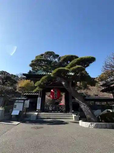 長谷寺の{uncategorized: "未分類", other: "その他", undefined: "問題あり", building: "その他建物", grave: "お墓", sacred_gate: "鳥居", guardian: "狛犬", statue: "像", buddha: "仏像", history: "歴史", nature: "自然", garden: "庭園", animal: "動物", pagoda: "塔", temizu: "手水舎", mountain_gate: "山門・神門", sanctuary: "本殿・本堂", subordinate: "末社・摂社", art: "芸術", scenery: "景色", jizo: "地蔵", ema: "絵馬", goshuin: "御朱印", omikuji: "おみくじ", items: "授与品その他", amulet: "お守り", goshuincho: "御朱印帳", eats: "食事", festival: "お祭り", votive_dance: "神楽", shichigosan: "七五三参", wedding: "結婚式", experience: "体験その他", initially: "初詣", around: "周辺", anti_infection: "感染症対策"}