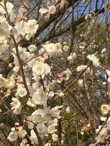 下野 星宮神社(栃木県)