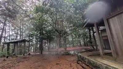 秋葉神社(京都府)