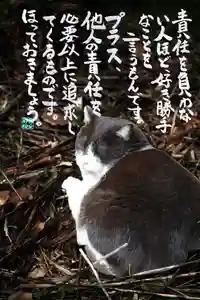 専念寺(大阪府)(2023年01月27日(金) 20時05分40秒投稿)