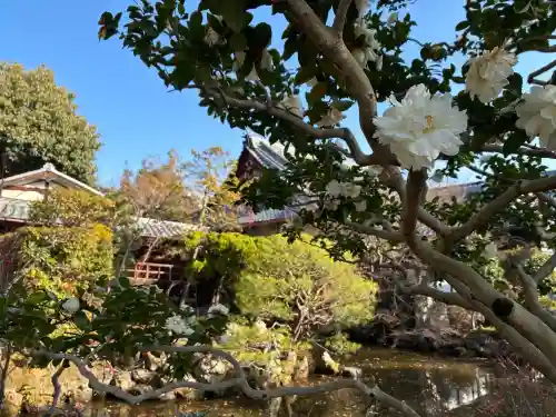 神光院の{uncategorized: "未分類", other: "その他", undefined: "問題あり", building: "その他建物", grave: "お墓", sacred_gate: "鳥居", guardian: "狛犬", statue: "像", buddha: "仏像", history: "歴史", nature: "自然", garden: "庭園", animal: "動物", pagoda: "塔", temizu: "手水舎", mountain_gate: "山門・神門", sanctuary: "本殿・本堂", subordinate: "末社・摂社", art: "芸術", scenery: "景色", jizo: "地蔵", ema: "絵馬", goshuin: "御朱印", omikuji: "おみくじ", items: "授与品その他", amulet: "お守り", goshuincho: "御朱印帳", eats: "食事", festival: "お祭り", votive_dance: "神楽", shichigosan: "七五三参", wedding: "結婚式", experience: "体験その他", initially: "初詣", around: "周辺", anti_infection: "感染症対策"}