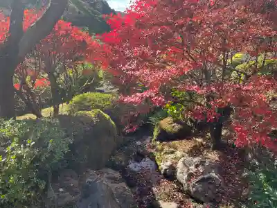三室戸寺(京都府)