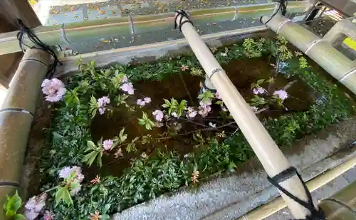 琴崎八幡宮の手水舎