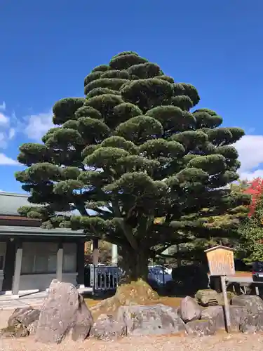 石川護國神社の庭園