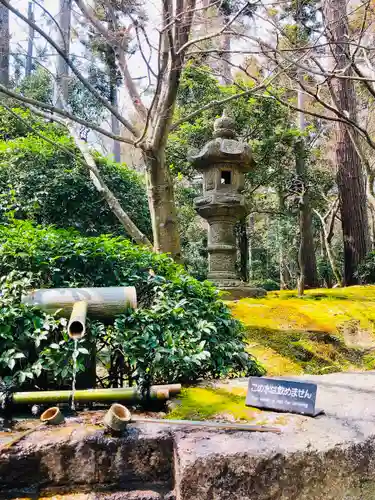 龍安寺の庭園