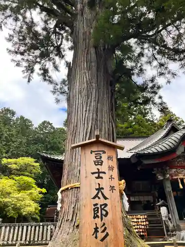 北口本宮冨士浅間神社(山梨県)