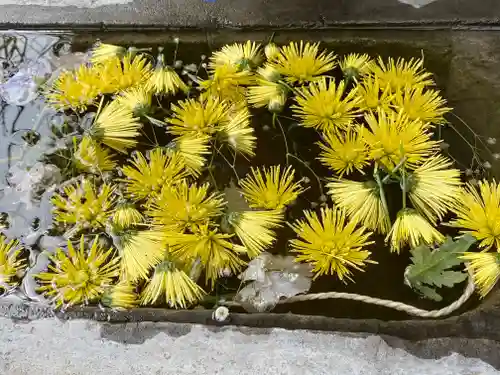 菊名神社の手水舎