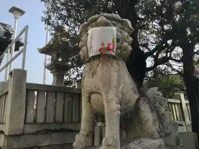 岡山神社の狛犬