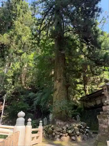 最乗寺（道了尊）(神奈川県)