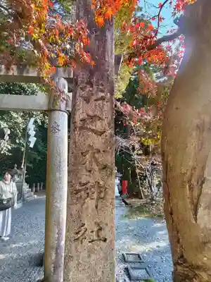 杉之木神社(滋賀県)