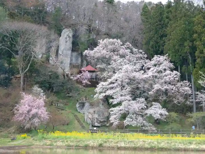 堂の下の岩観音の{uncategorized: "未分類", other: "その他", undefined: "問題あり", building: "その他建物", grave: "お墓", sacred_gate: "鳥居", guardian: "狛犬", statue: "像", buddha: "仏像", history: "歴史", nature: "自然", garden: "庭園", animal: "動物", pagoda: "塔", temizu: "手水舎", mountain_gate: "山門・神門", sanctuary: "本殿・本堂", subordinate: "末社・摂社", art: "芸術", scenery: "景色", jizo: "地蔵", ema: "絵馬", goshuin: "御朱印", omikuji: "おみくじ", items: "授与品その他", amulet: "お守り", goshuincho: "御朱印帳", eats: "食事", festival: "お祭り", votive_dance: "神楽", shichigosan: "七五三参", wedding: "結婚式", experience: "体験その他", initially: "初詣", around: "周辺", anti_infection: "感染症対策"}