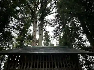 黒川神社(栃木県)