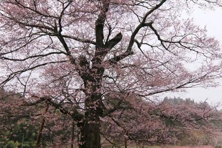 長屋神社の自然