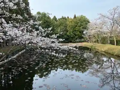 酬恩庵一休寺(京都府)