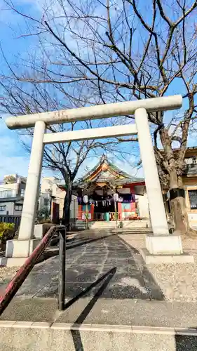浅草富士浅間神社の鳥居